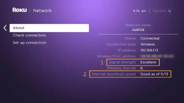 Check Roku Internet Connection