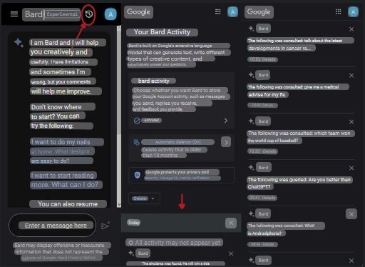 activity history in Google Bard