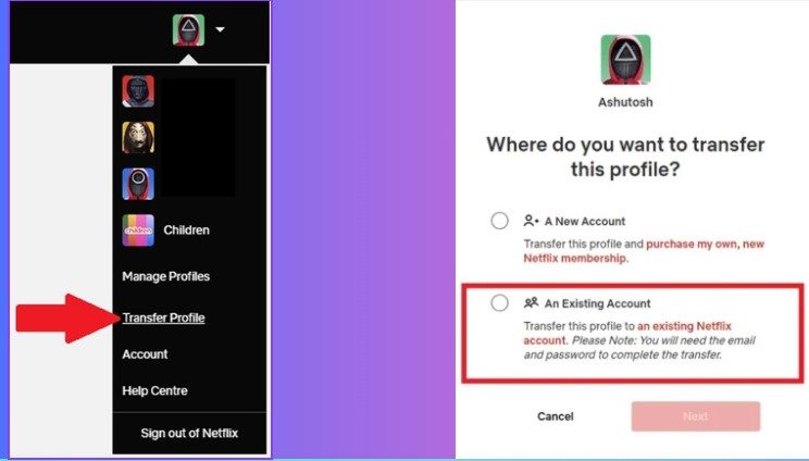 Transfer Netflix Profile