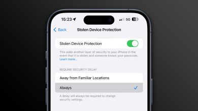 iPhone Stolen Device Protection