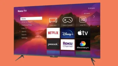 Input on Roku TV