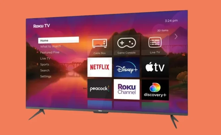 Input on Roku TV